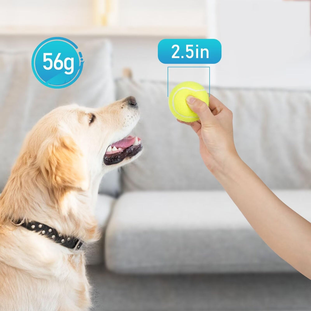 Prime Pets entrenamiento-juego-interior-exterior, tamaño adecuado para perros medianos.