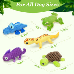 Prime Pets juguete tortuga para perros, diseño duradero para juego diario.