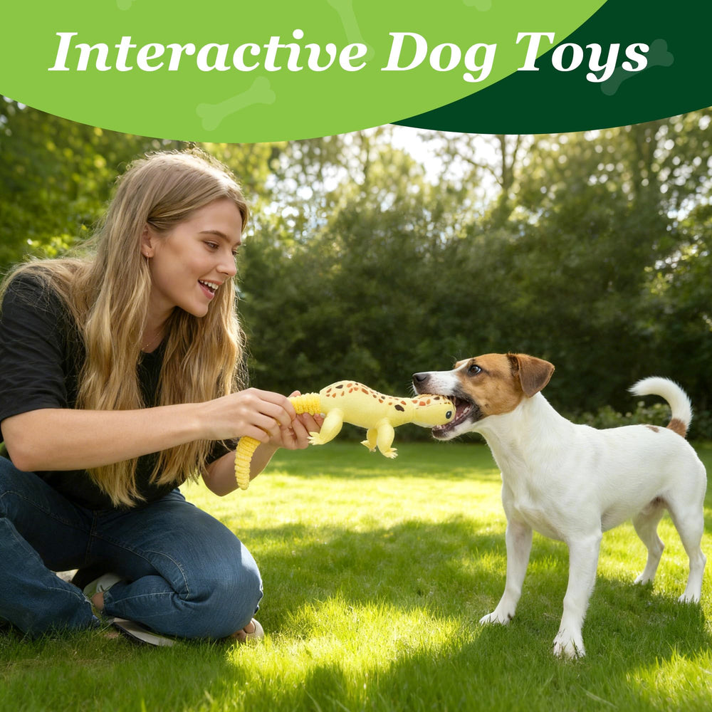 Prime Pets conjunto de juguetes para perros, colección variada para horas de juego.