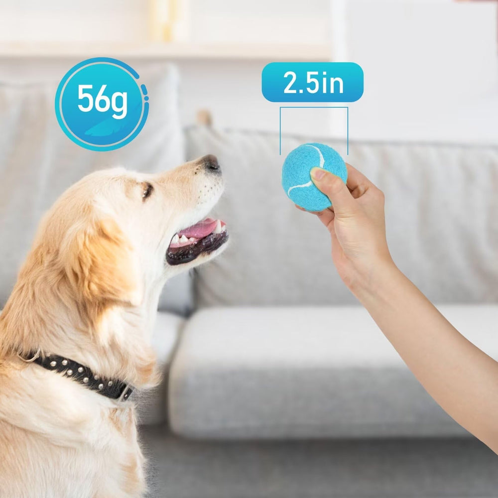 Prime Pets pelotas de tenis para perros: colores brillantes para rastreo rápido durante el juego exterior.