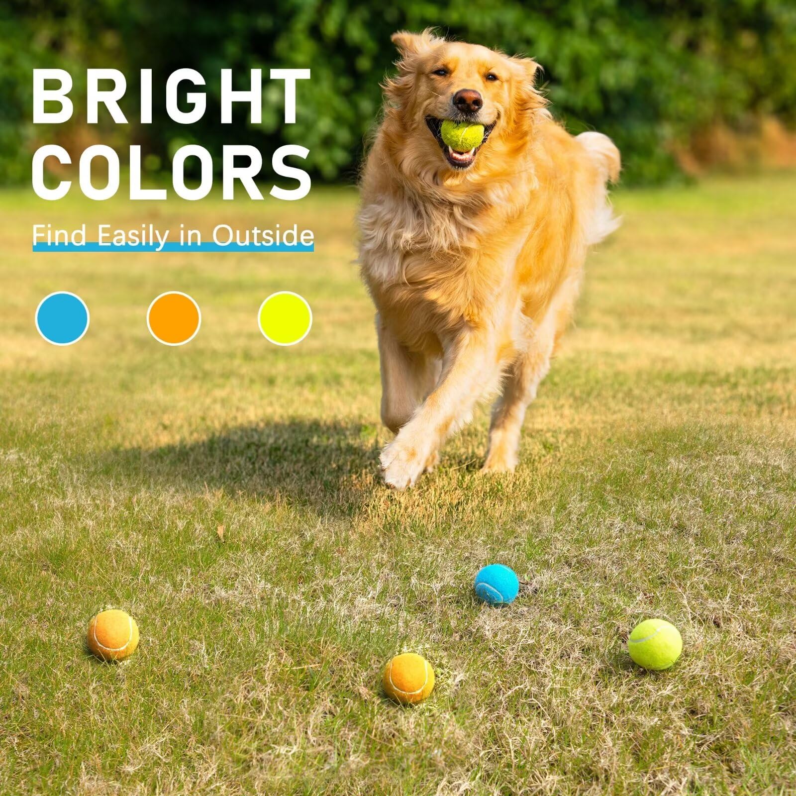 Prime Pets pelotas de tenis para perros: aptas para perros pequeños y medianos en entrenamientos y búsquedas.