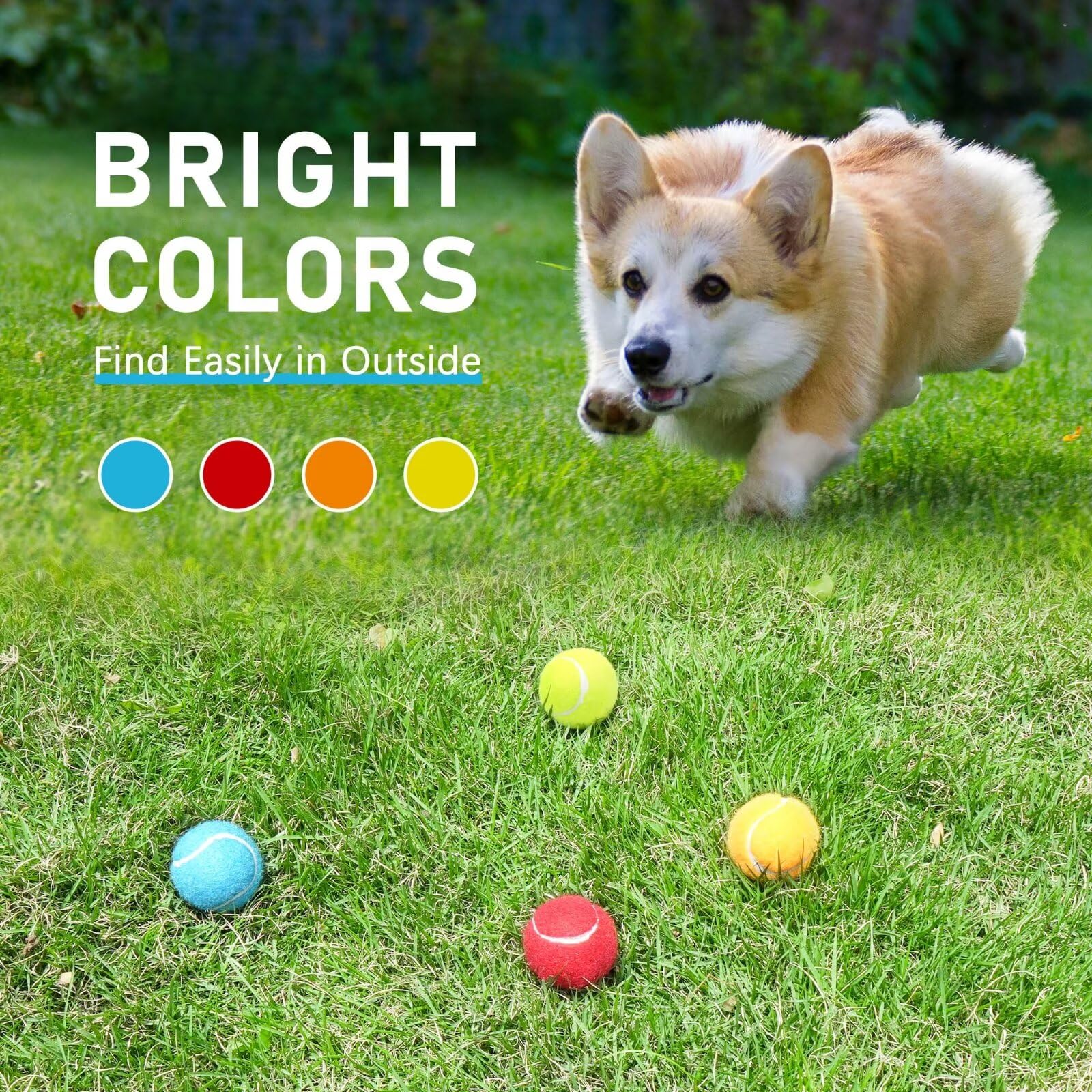 Prime Pets pelotas tenis para perro, rebote alto para divertir en exterior.