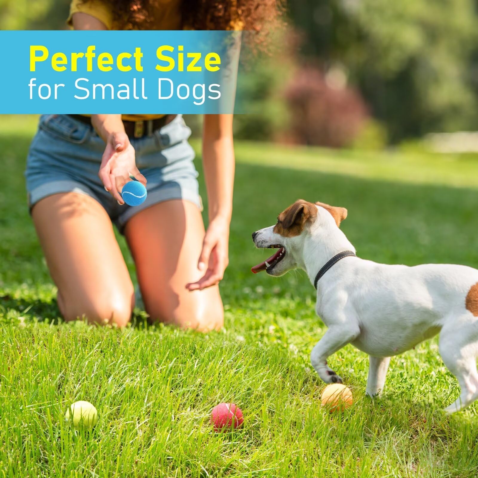 Prime Pets pelotas tenis para perro con flotación, perfectas para jugar en agua.