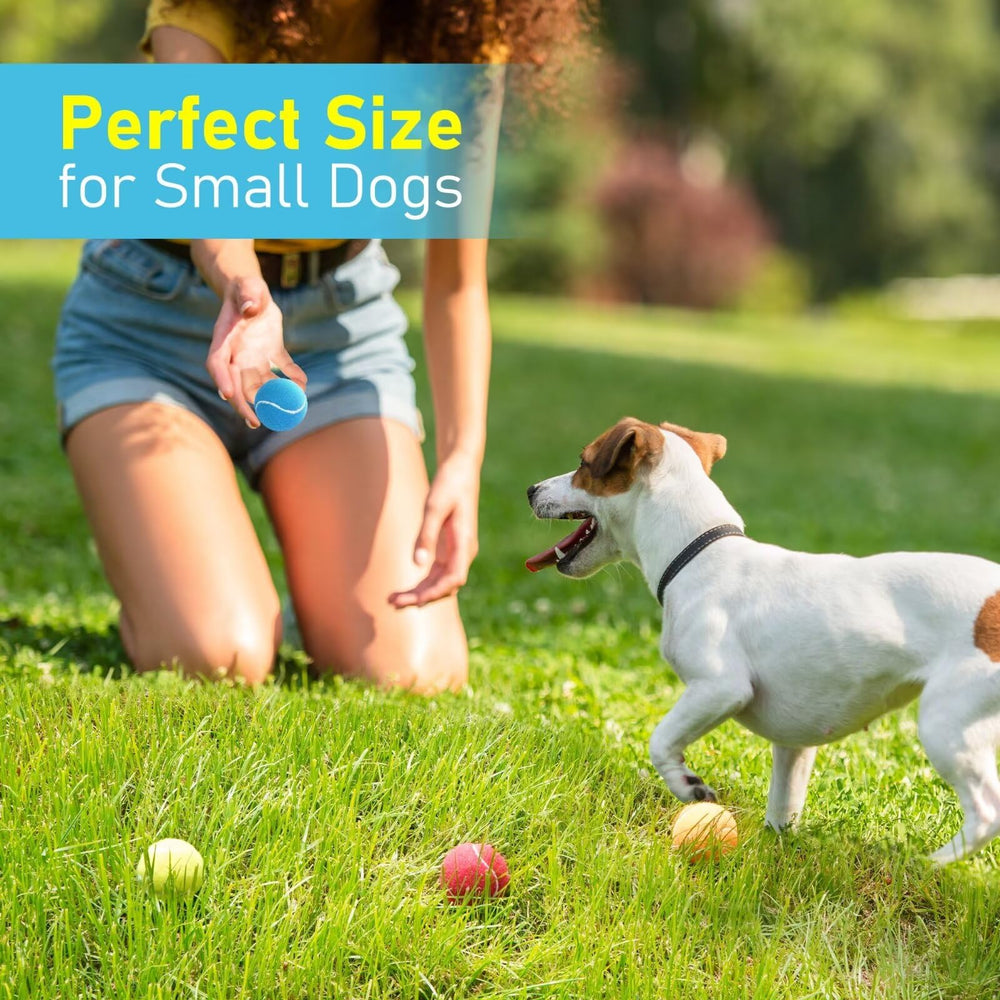 Prime Pets pelotas tenis para perro con flotación, perfectas para jugar en agua.