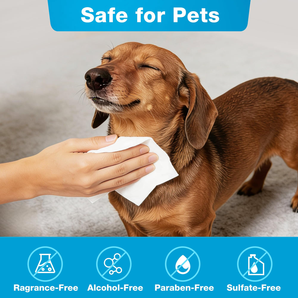 Prime Pets toallitas orejas, higiene segura sin irritación.