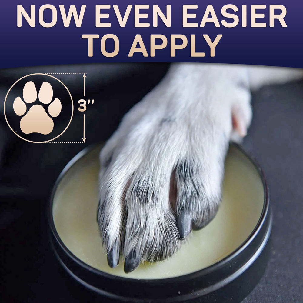 Cuidado diario de patas con Pomada Primens, ideal para paseos.