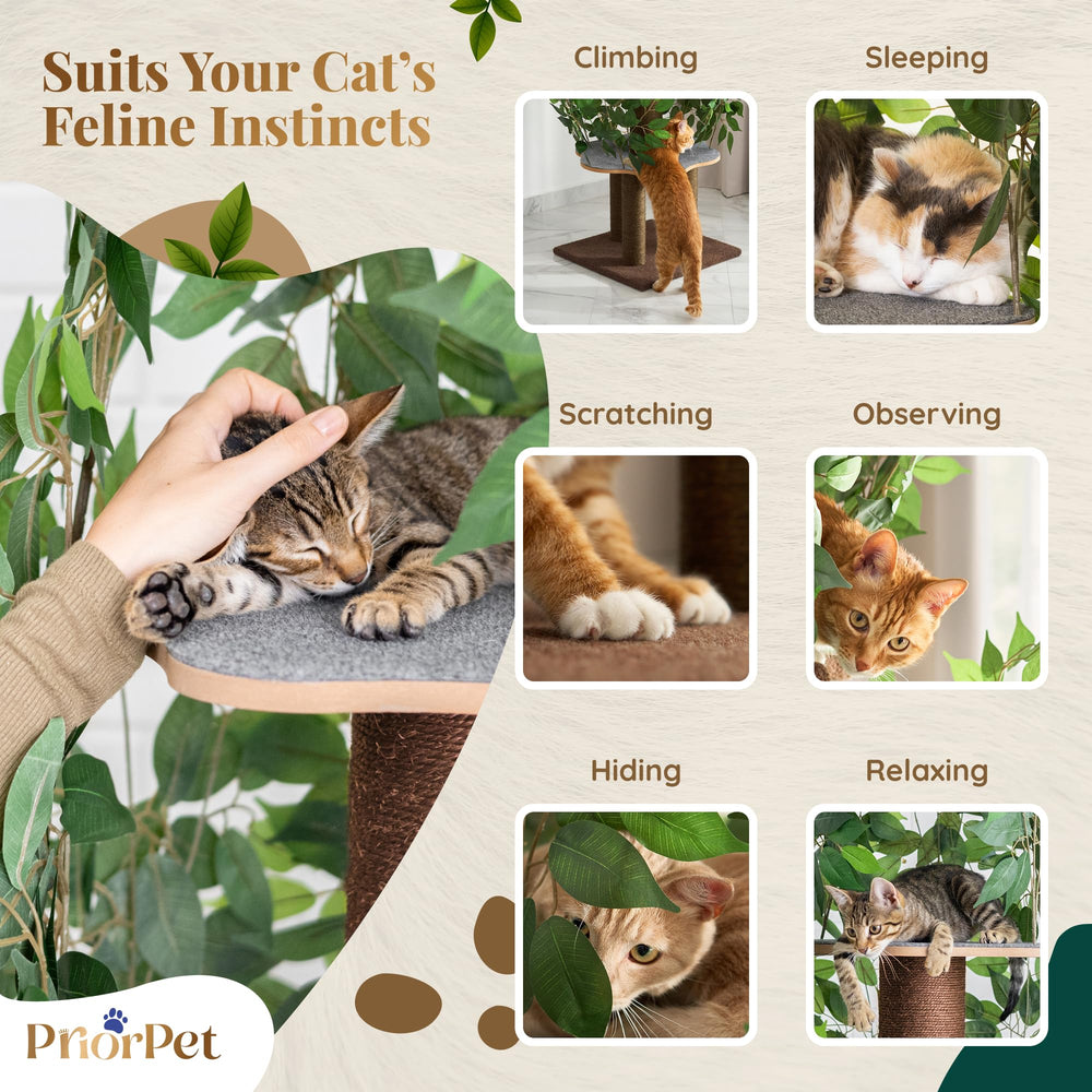 PriorPet Arbol Gatos con Hojas, plataformas de rascado para trepar y afilar uñas.