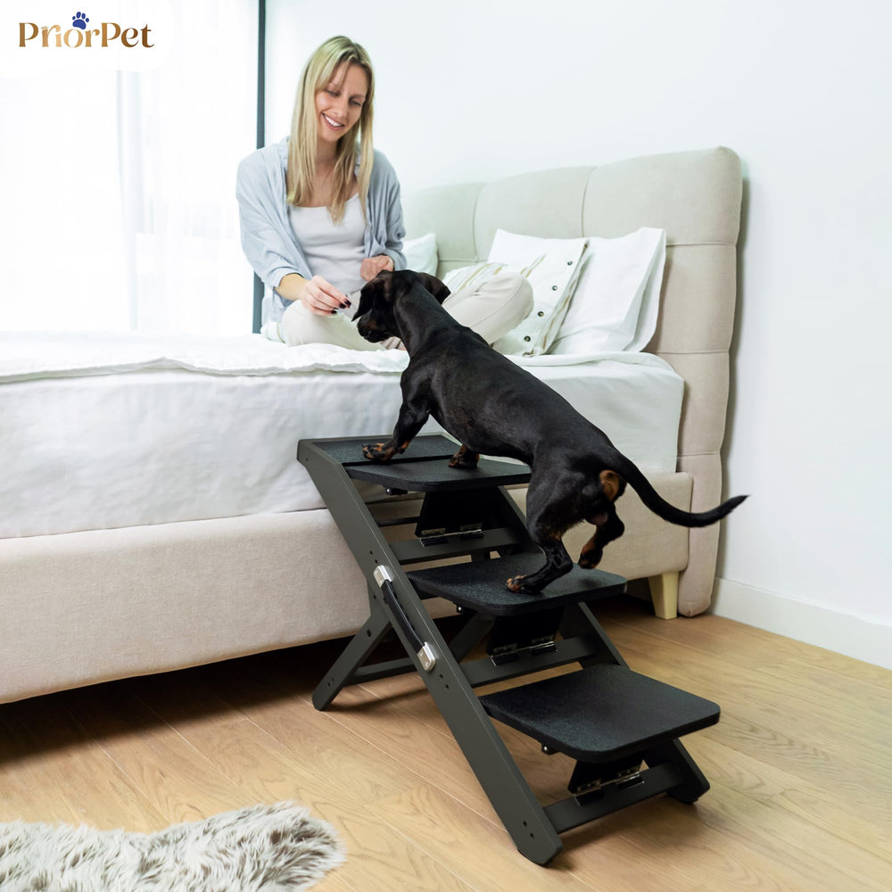 PRIORPET diseño negro neutro, se integra con la decoración