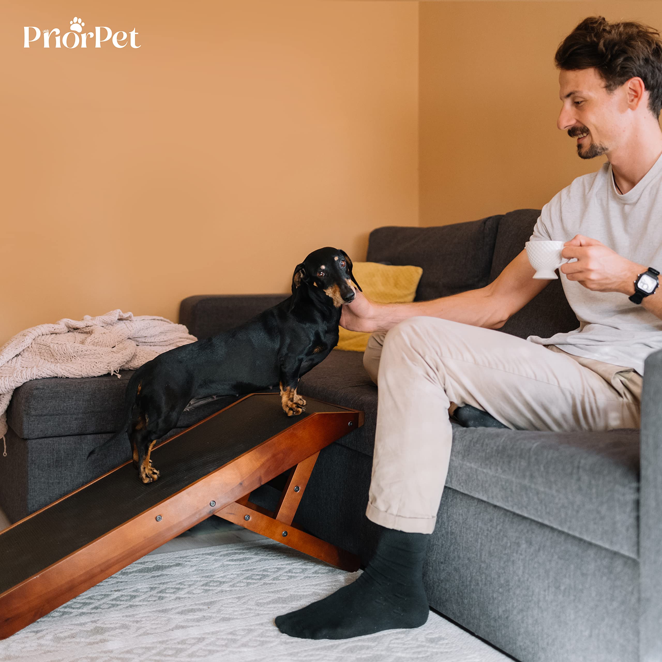 Rampa PRIORPET para perro: acabado nogal para combinar con la decoración.
