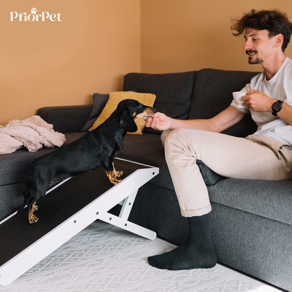 PRIORPET rampa versátil para diversos ambientes del hogar.