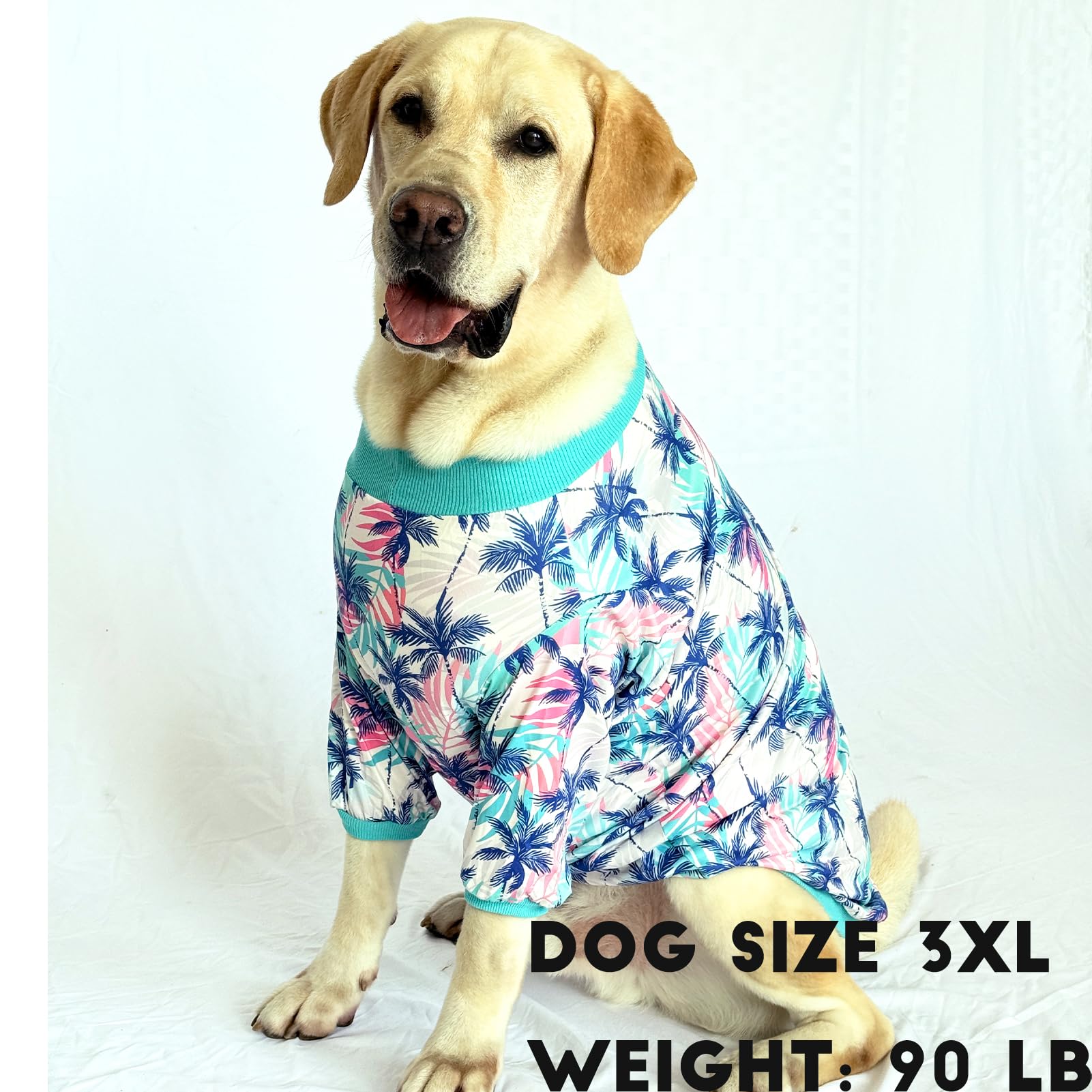 PriPre camiseta para perro, vista trasera con estampado de árbol de coco blanco.