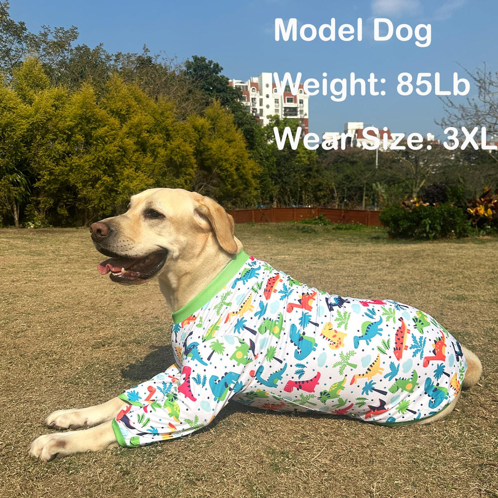 Diseño colorido de PriPre con dinosaurio verde, fácil de identificar durante el juego