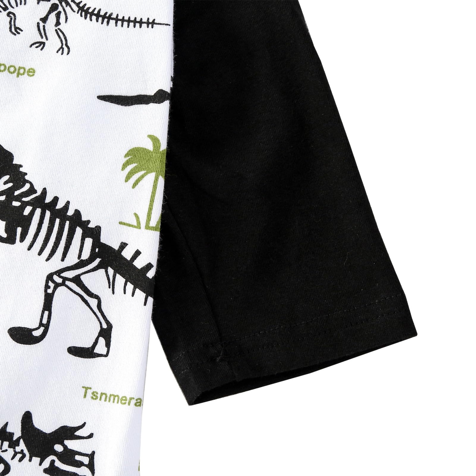PriPre patrón dinosaurio colorido, diseño llamativo para paseos