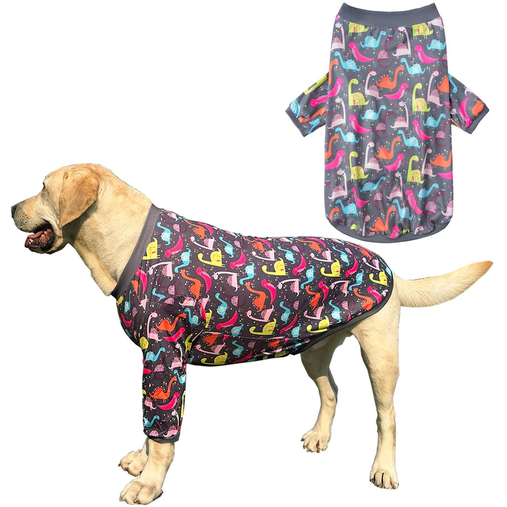 PriPre camiseta gris para perro con dinosaurio colorido, vista frontal para uso en paseos.