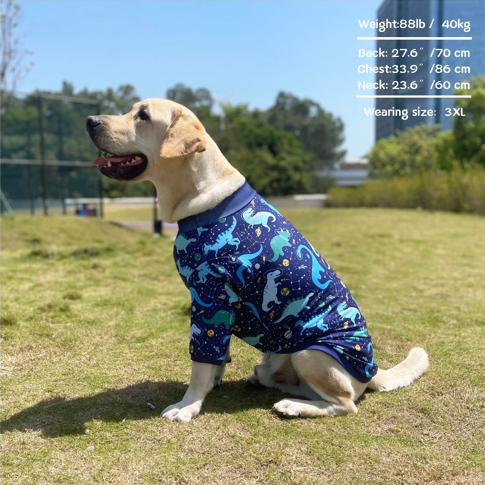 Tejido suave PriPre, mezcla spandex algodón, para perro cómodo.