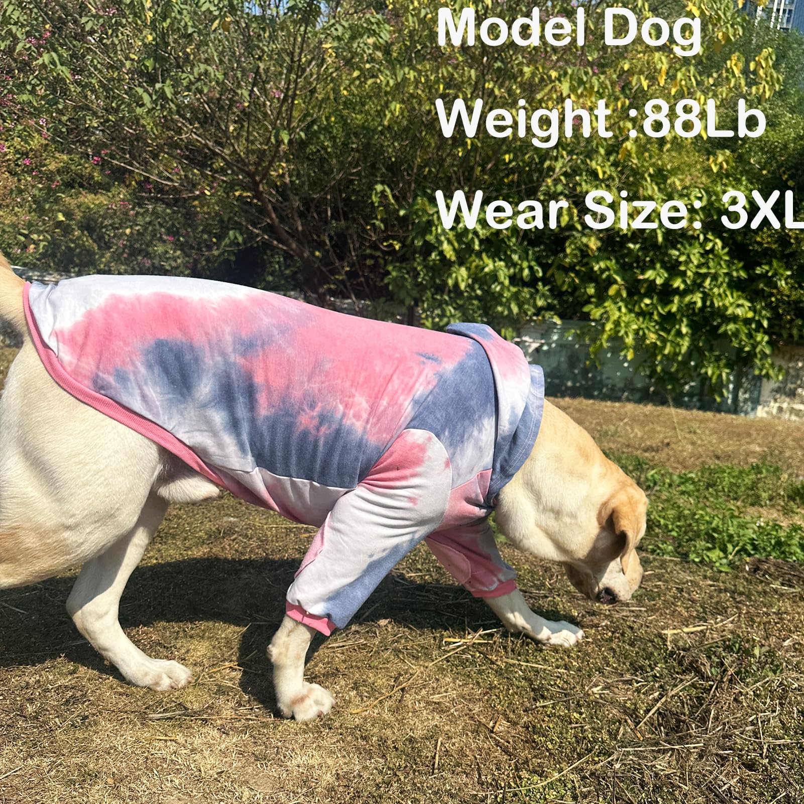 PriPre perro usando sudadera rosa gris para uso diario y fotos