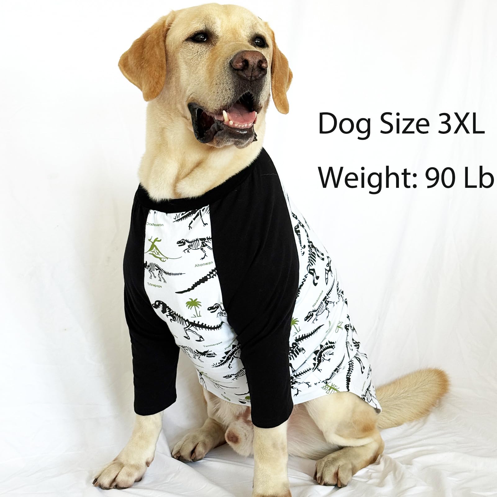 PriPre talla media para perros medianos, ajuste cómodo y seguro
