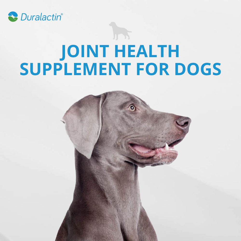 Primer plano de las gomitas PRN Duralactin para perros.