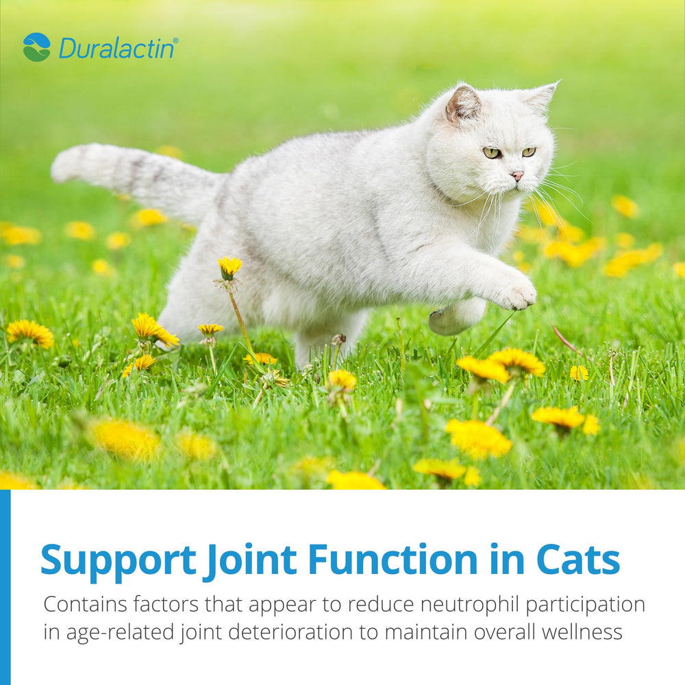 PRN Duralactin para gatos con omega 3 y 6 para nutrición equilibrada.