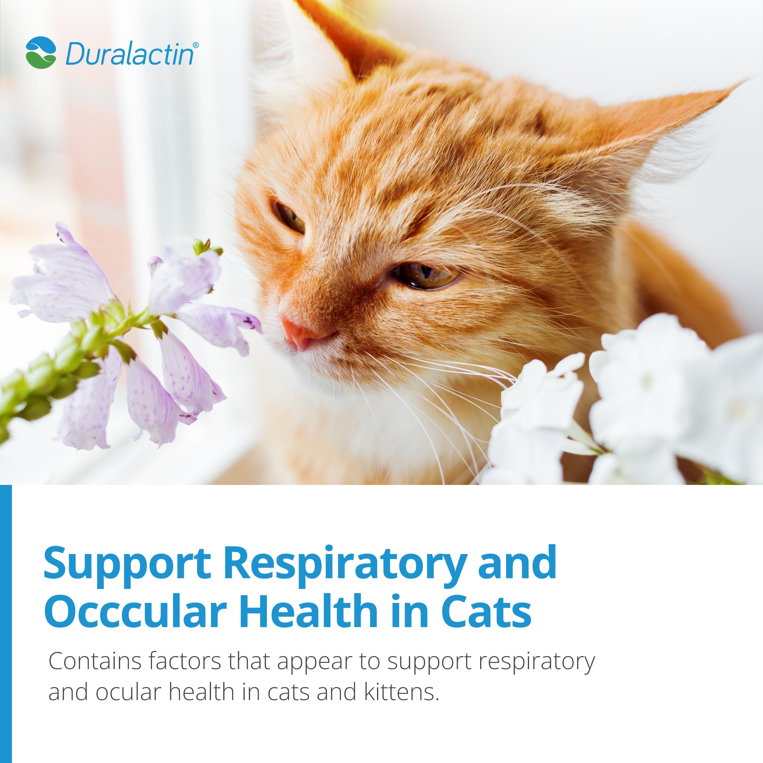 Apoyo articular para gatos con PRN Pharmacal Duralactin