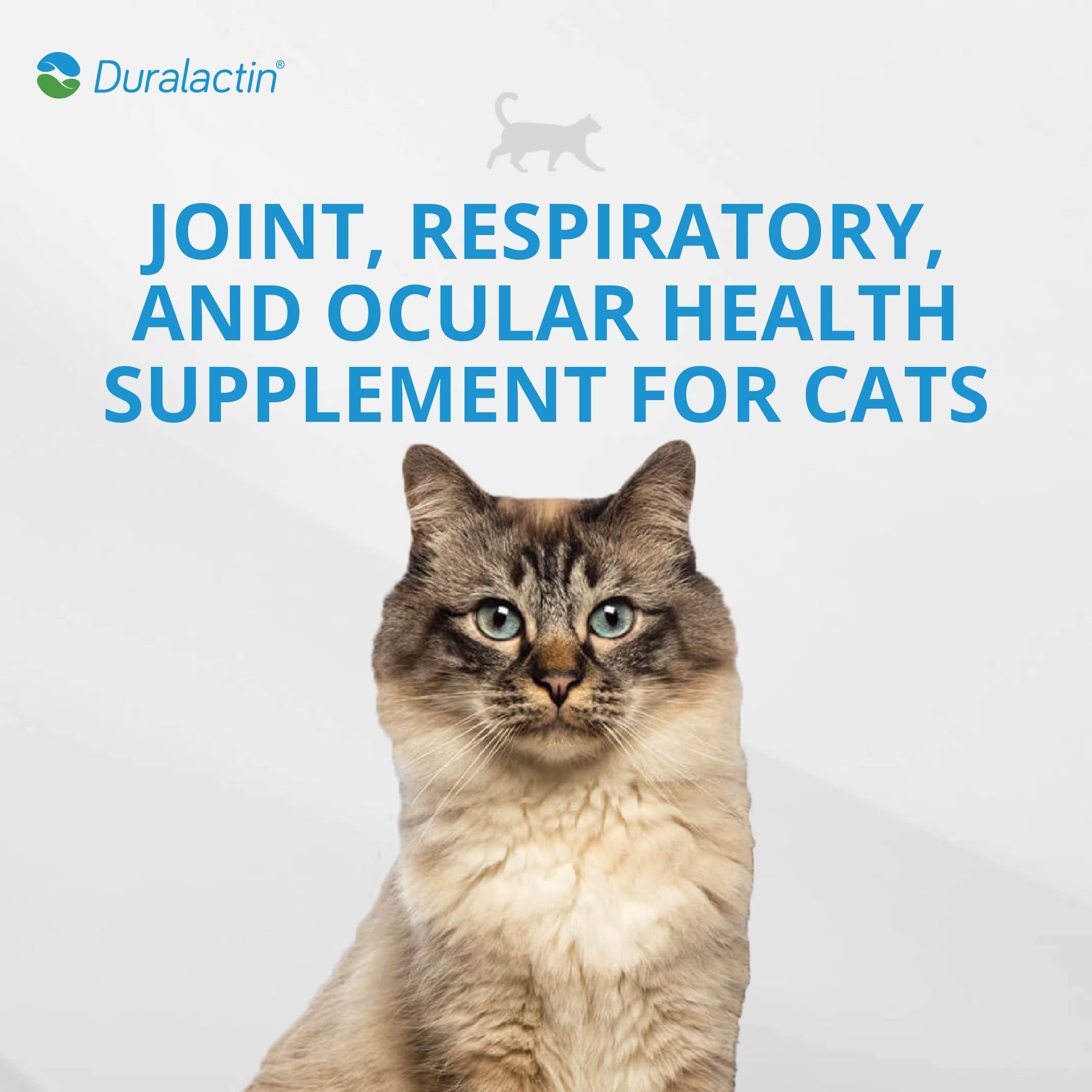 PRN Pharmacal Duralactin, pasta sabor pollo para gatos
