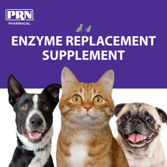 PRN ProZyme cuchara medidora: polvo fácil de incorporar a la comida