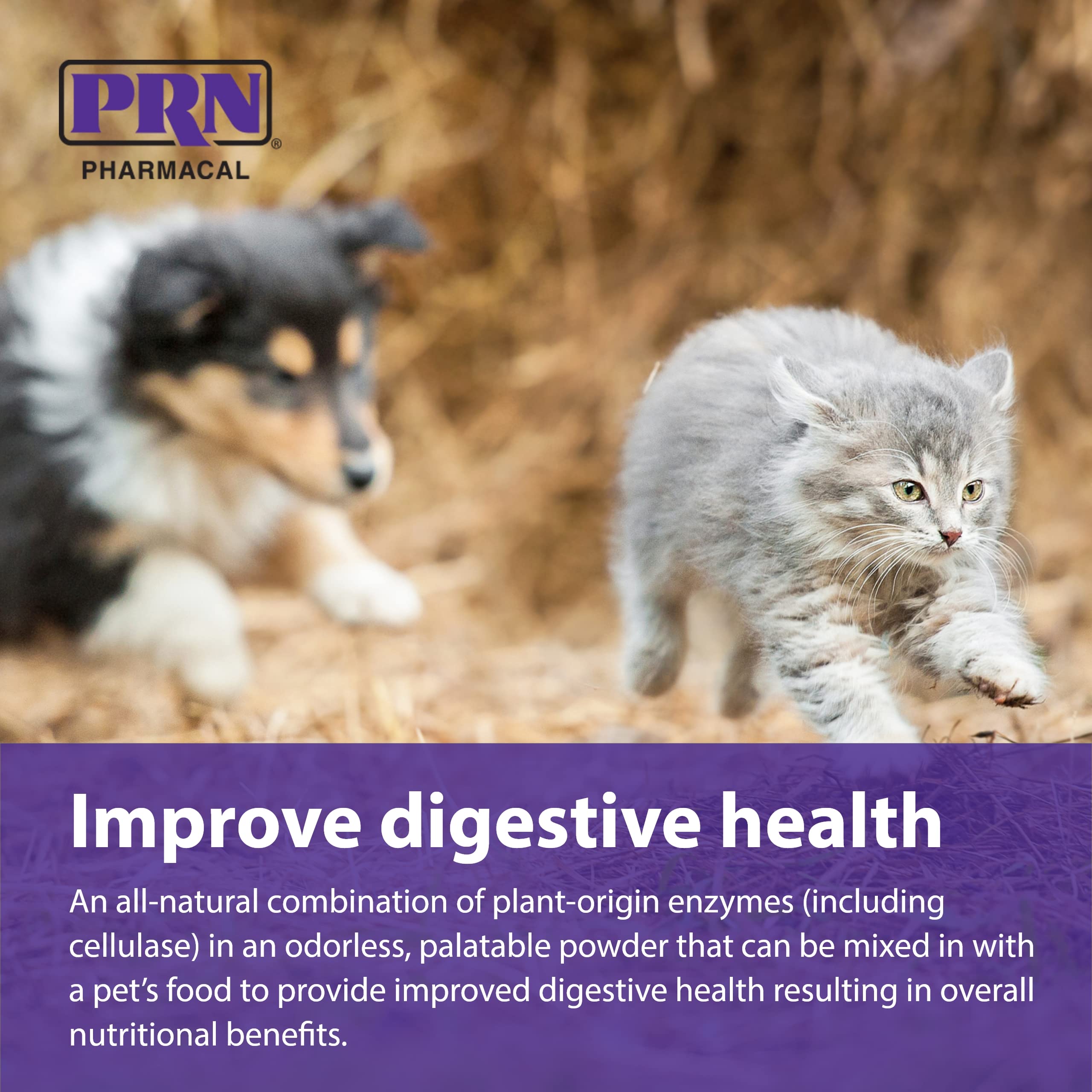 PRN ProZyme detalle de ingredientes naturales: enzimas vegetales