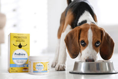 Probiora Health: dientes más limpios y encías saludables en perros.