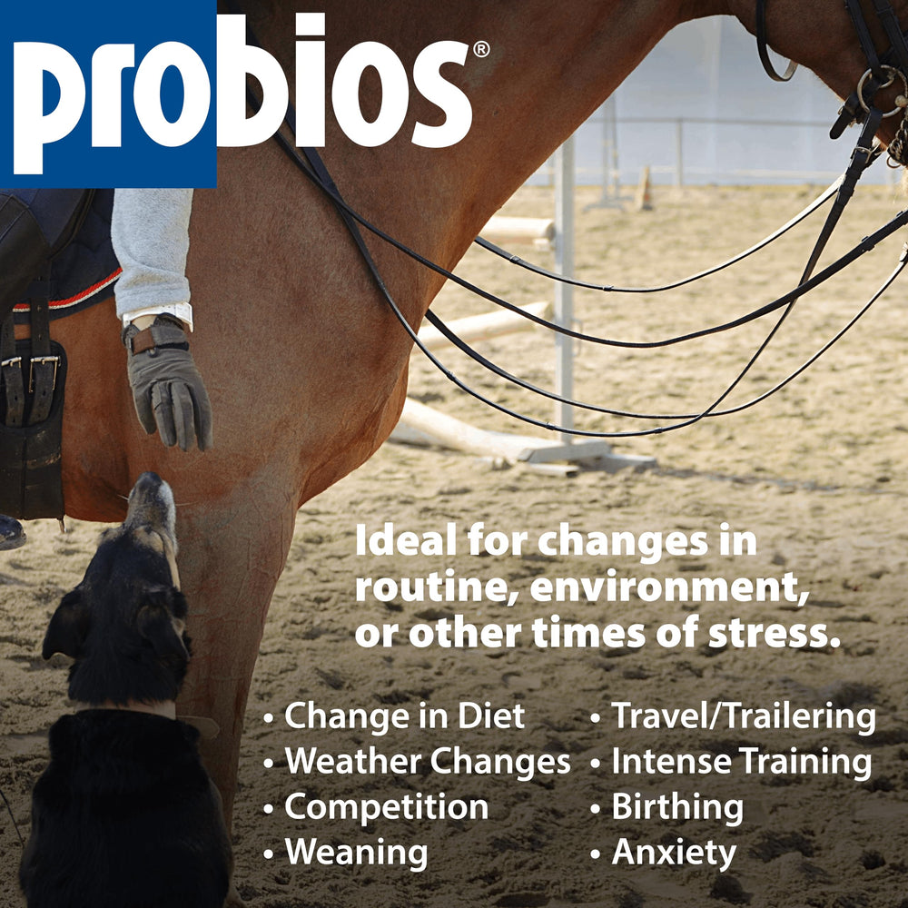 Probios Dispersible uso diario, ideal para mantener la rutina de salud digestiva.