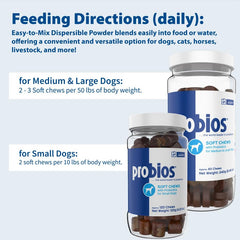 Probios para perros: apoyo digestivo durante viajes o estrés.