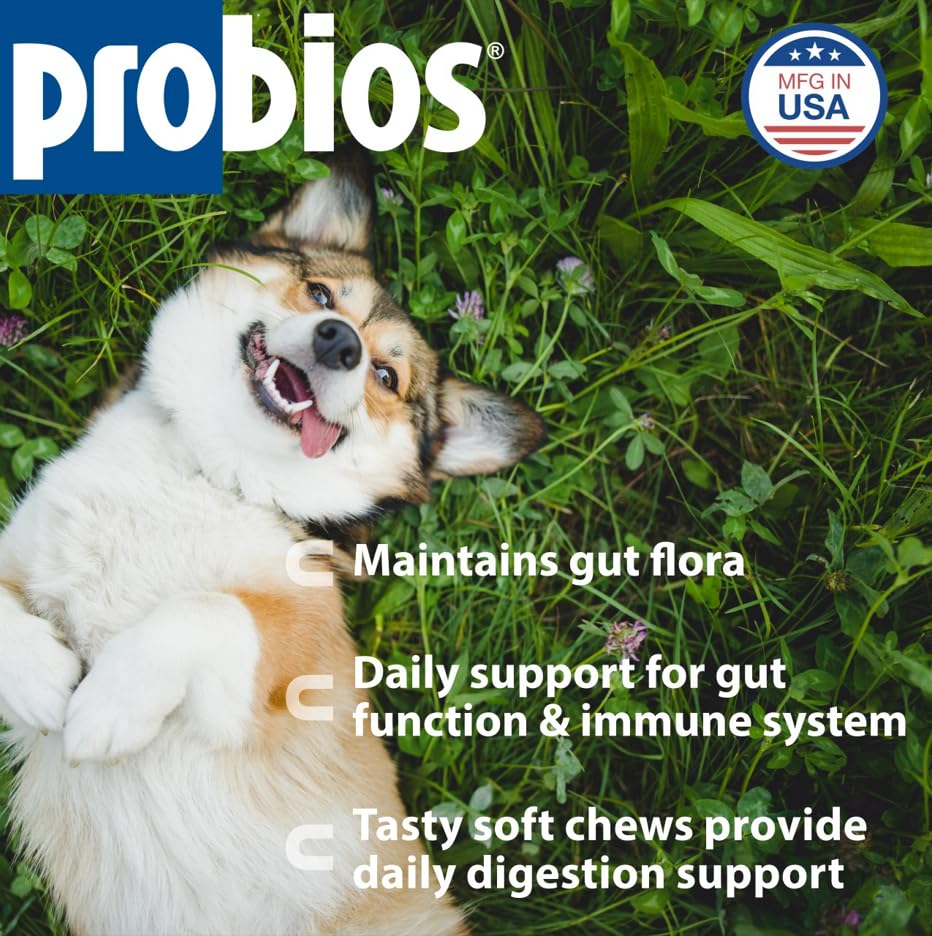 Probios para perros: mezcla probiótica de 5 millones CFU por porción.