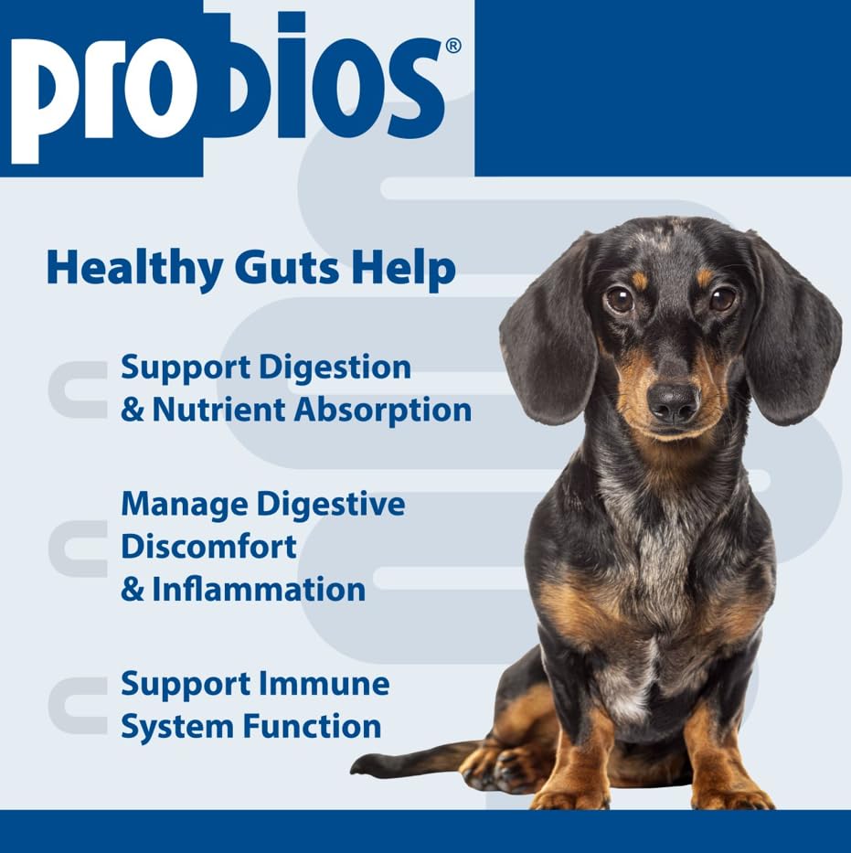 Probios para perros: prebiotico ADEPT para equilibrio intestinal.