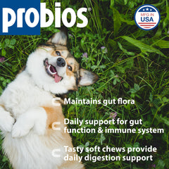 Probios para perros en empaque de 120 gramos para uso diario.