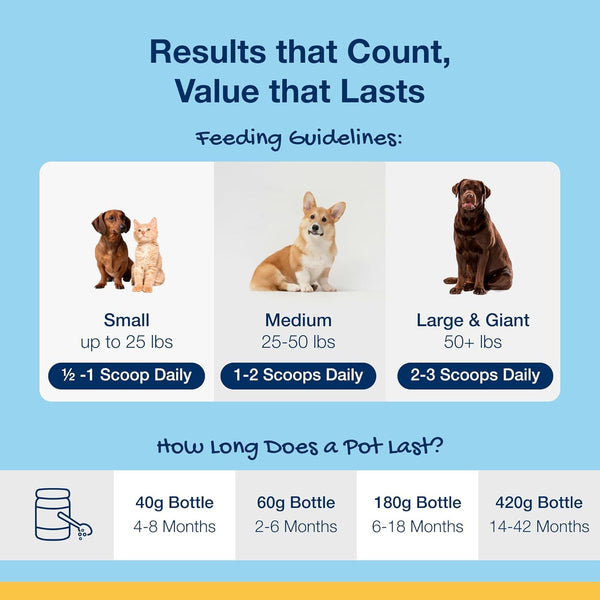 Perro sonriendo tras usar ProDen PlaqueOff en su comida diaria.