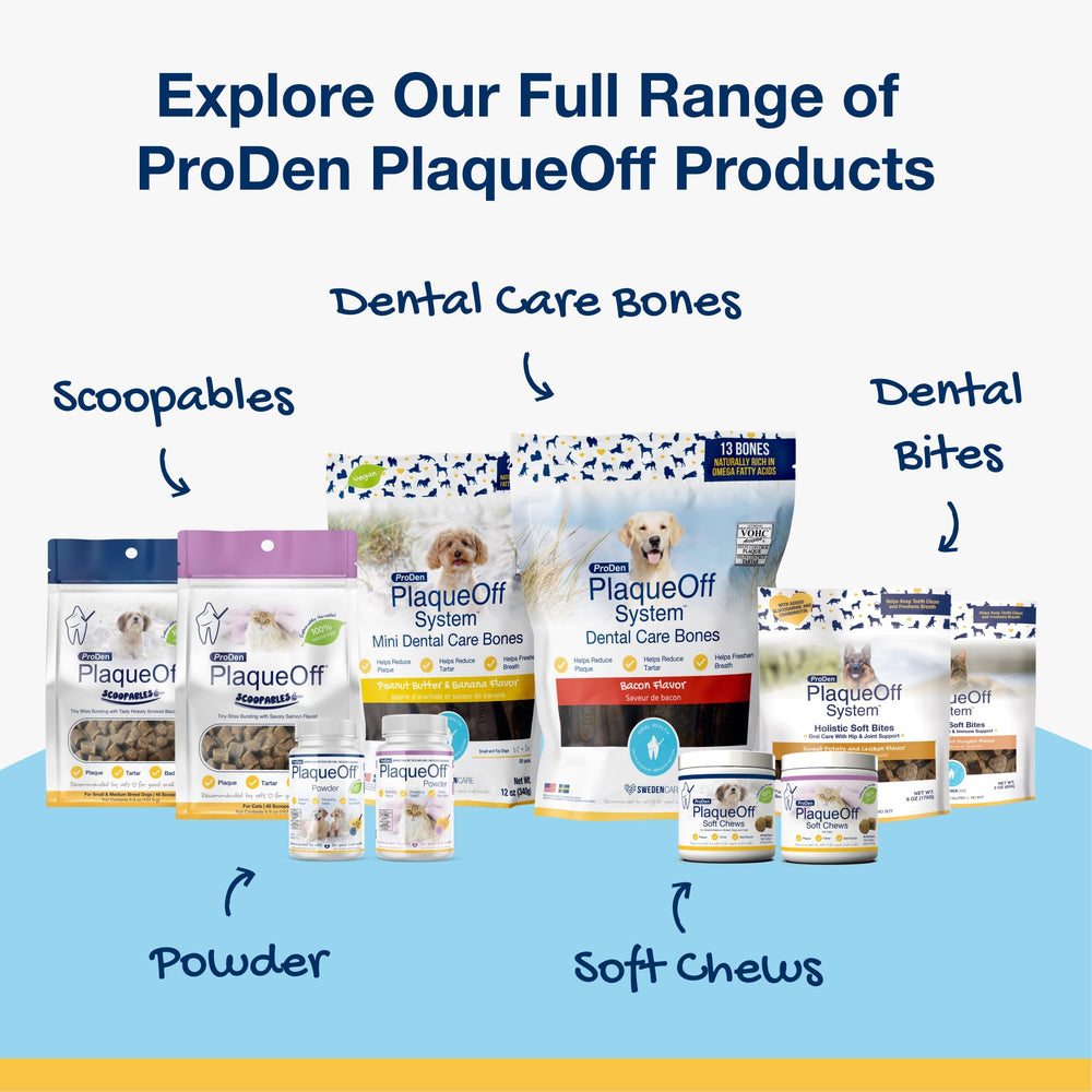 ProDen PlaqueOff: limpieza dental suave que se integra a la rutina de mascotas.