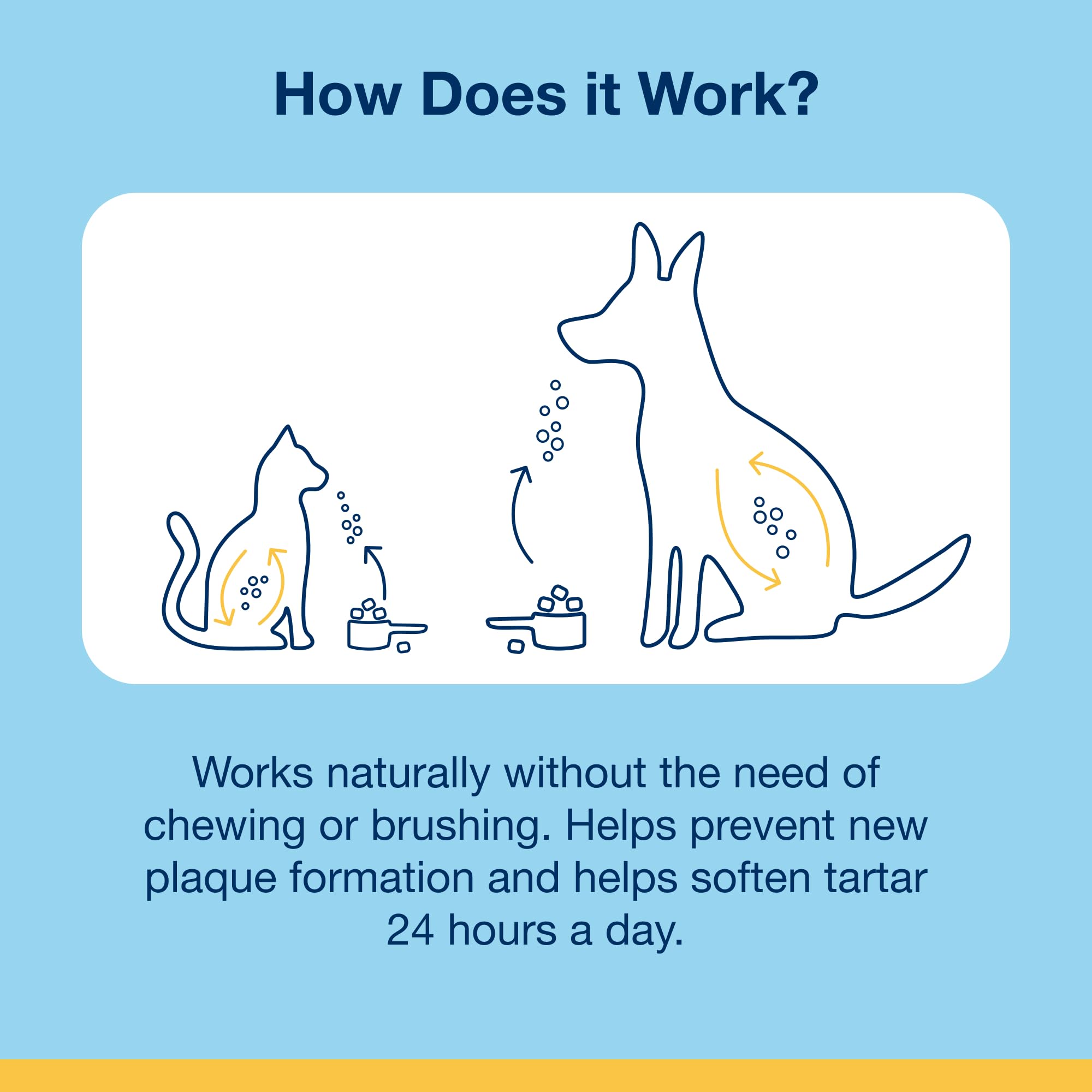 Ritual diario de cuidado dental sin esfuerzo para gatos.