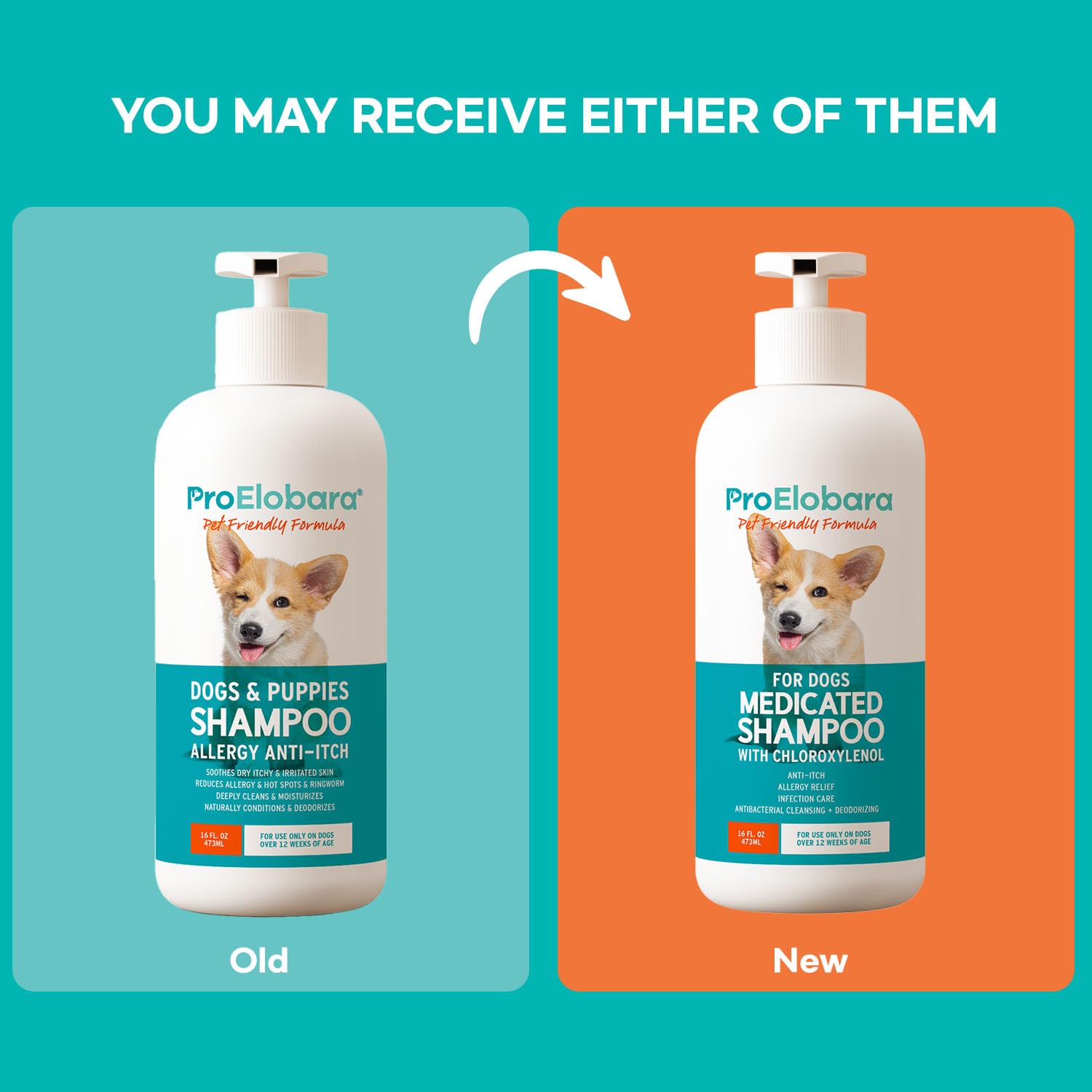 ProElobara alivia la picazón de perros con dermatitis mediante su fórmula.