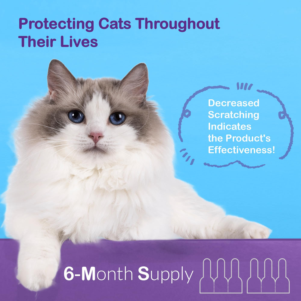 Fórmula suave para piel sensible de gatos grandes con ProElobara.