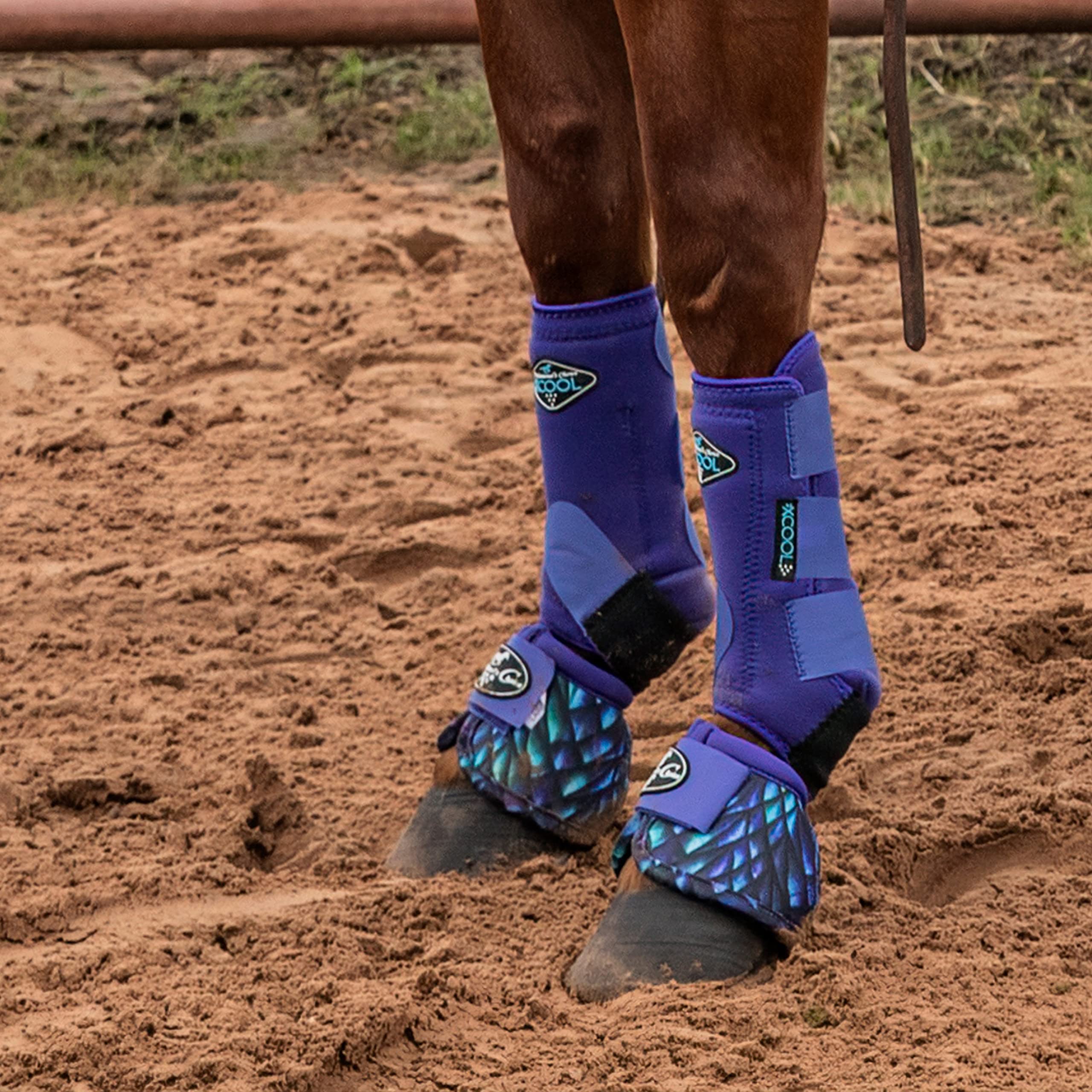 Professional's Choice 2XCool: botas para caballo, frente derecha, soporte ligero y transpirable.