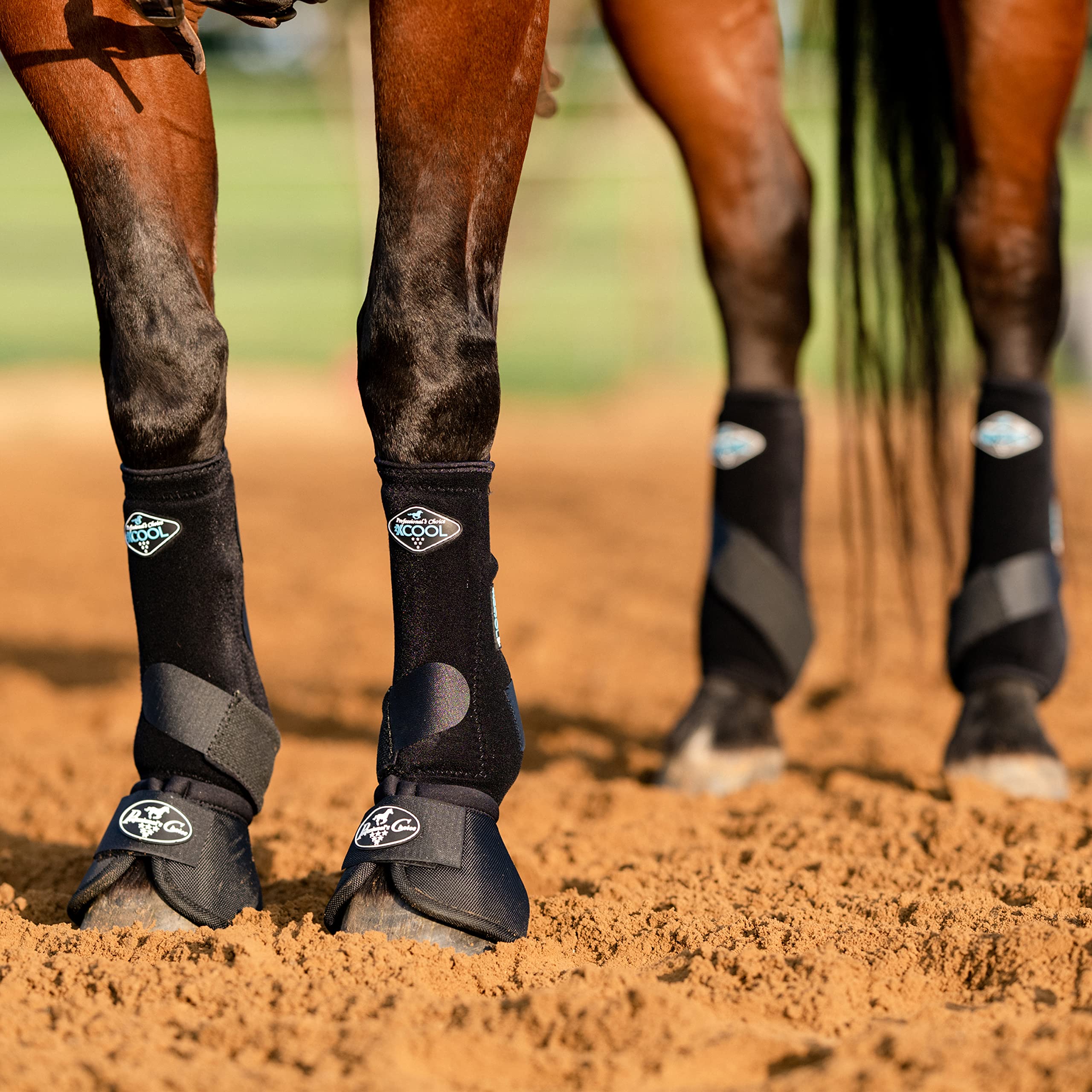 Professional's Choice 2XCool botas para caballos, pierna izquierda, diseño transpirable.