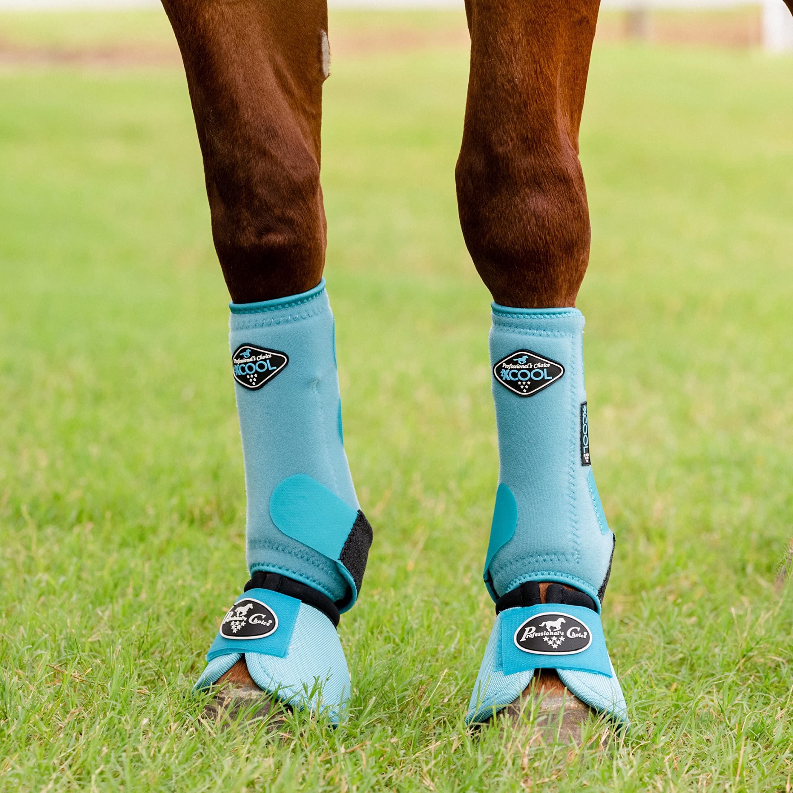 Profesionales Choice 2XCOOL botas con ventilación para caballos, mejor flujo de aire