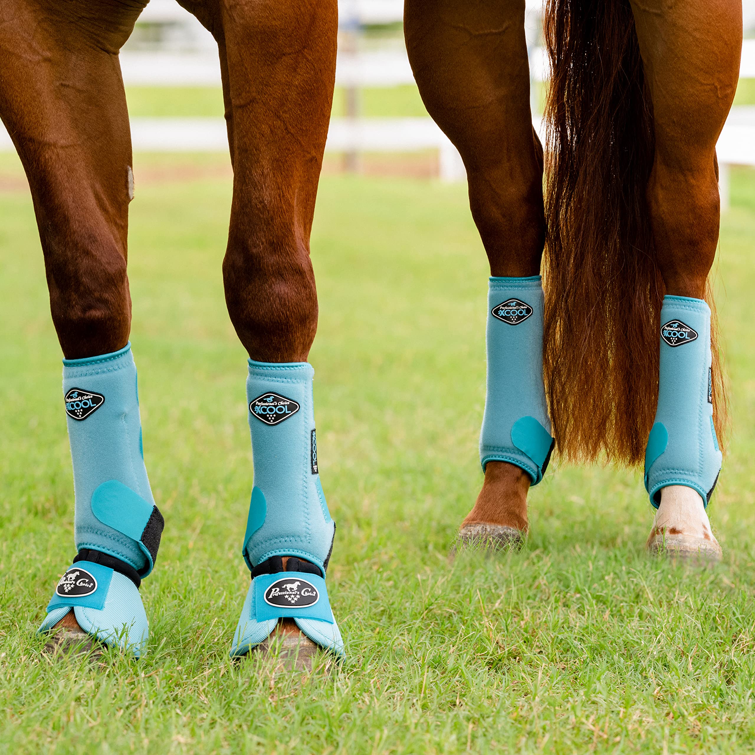 Professional's Choice 2XCool materiales aireados mantienen las patas secas.