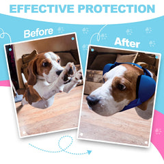 PROHEAR orejeras para perro color azul, ideal para salidas al exterior