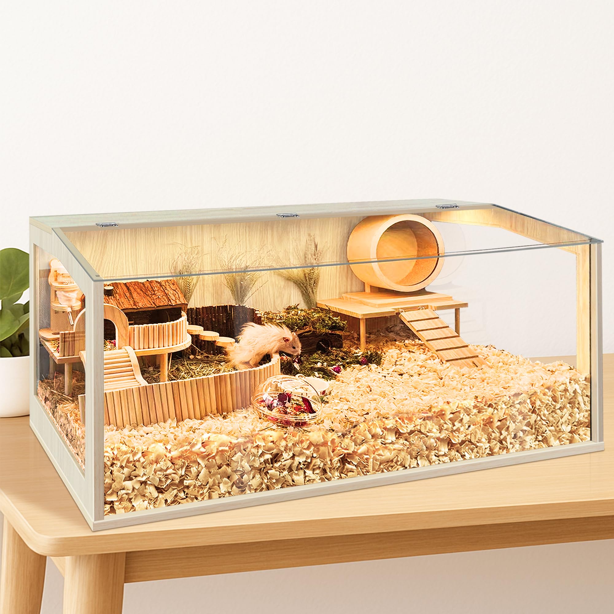 PROLEE techo levantable con ventana para observar sin molestar