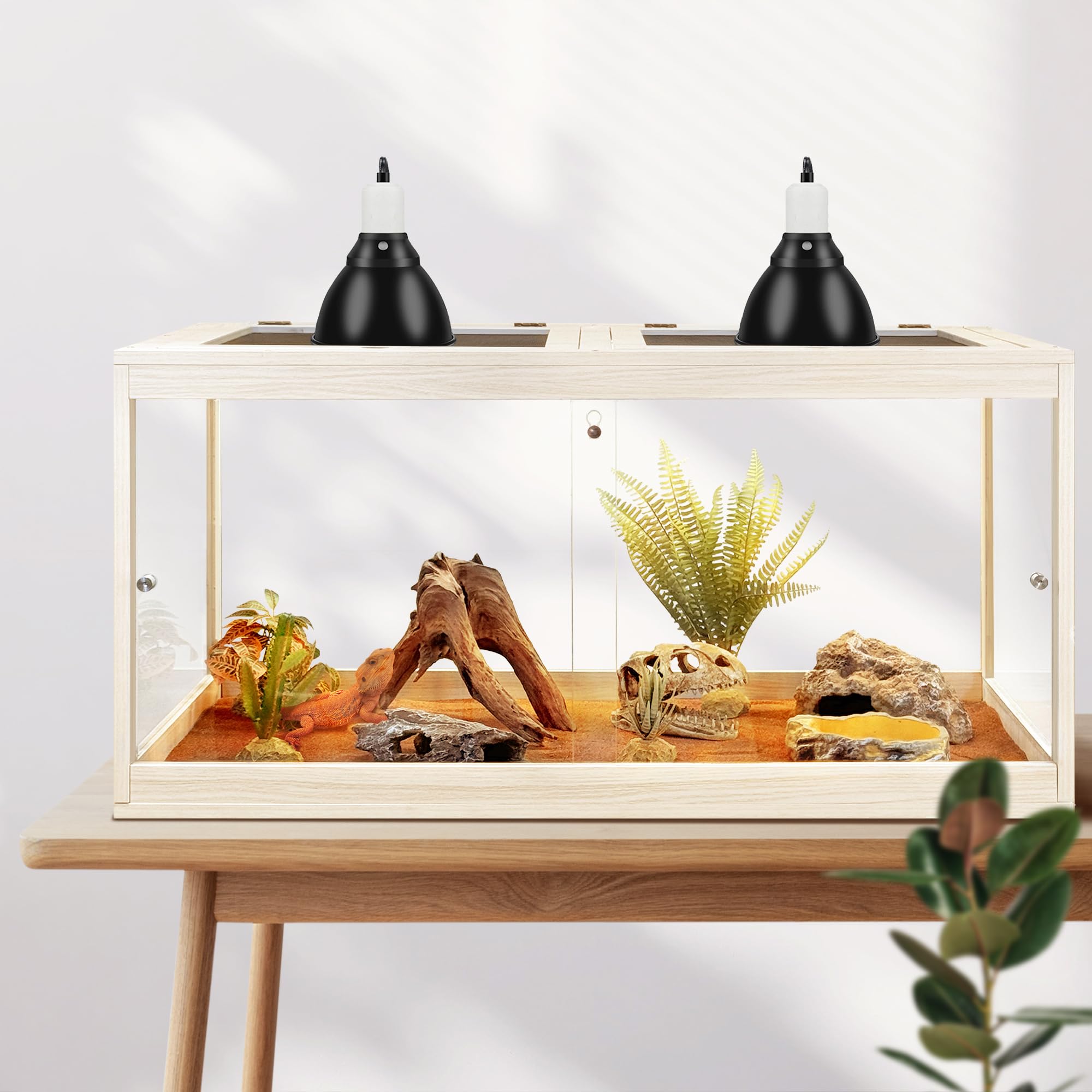 PROLEE terrario terrestre ideal para uso diario de reptiles en casa.