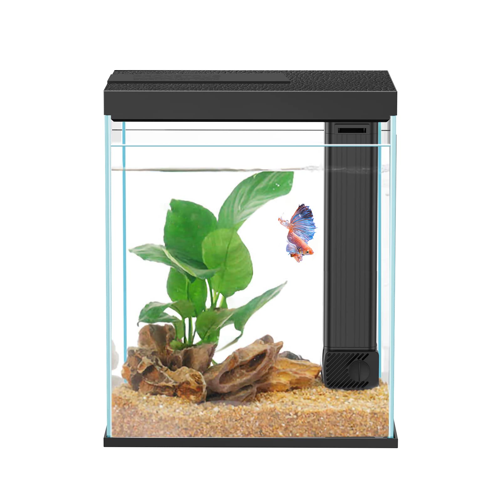 Pronetcus Betta 2 galones con vidrio claro para observar peces con claridad
