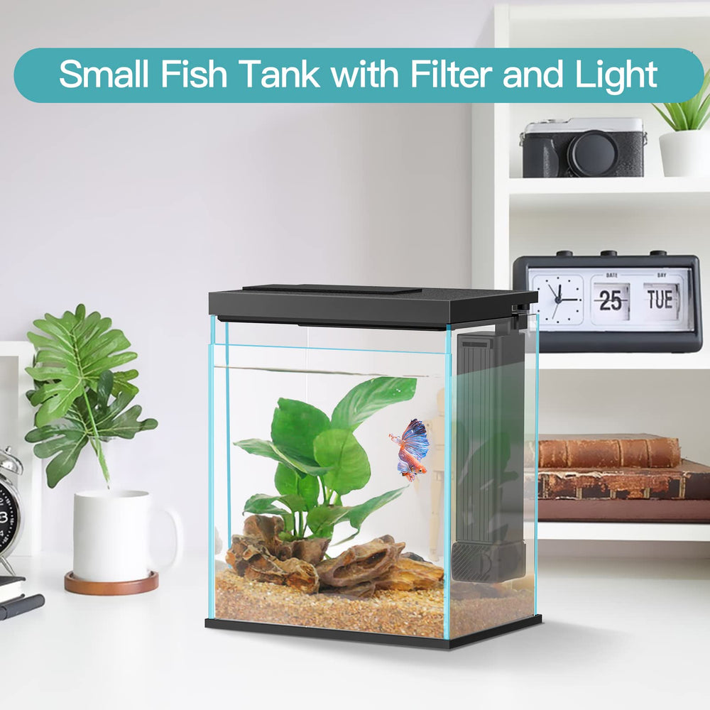 Pronetcus Betta con filtro integrado para mantener agua limpia