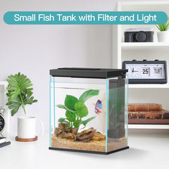 Pronetcus Betta con filtro integrado para mantener agua limpia