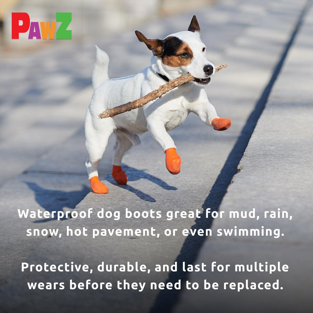 Guía de tallas Protex PawZ ayuda a elegir la talla correcta