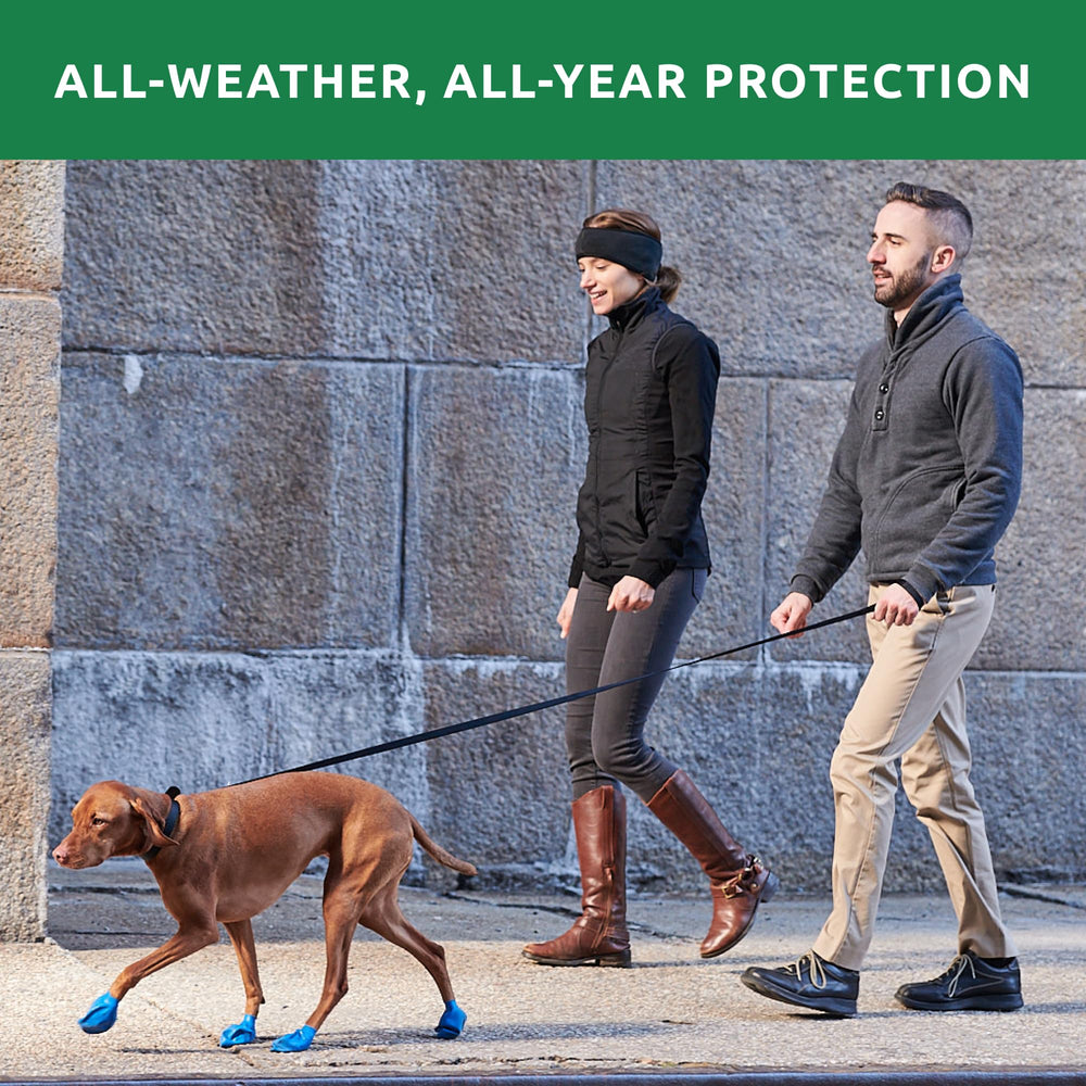 Botas PawZ Protex en nieve y barro para perros activos